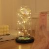 1pc Roses Gifts Artificial Flower Rainbow Rose Light Up In A Dome Gift For Mom Sister Wife Women Birthday Valentines Mother's Day Christmas Engag