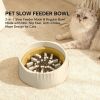 Fast food/slow food can easily switch bowls, adapting to different pet eating habits, cross-border hot selling pet supplies