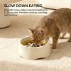Fast food/slow food can easily switch bowls, adapting to different pet eating habits, cross-border hot selling pet supplies